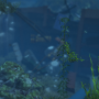 tauchen_container.png